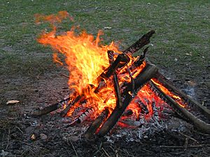 Archivo:Campfire 4213