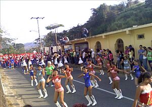 Archivo:Carnavales de salom1