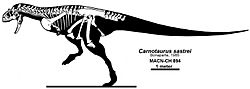 Archivo:Carnotaurus reconstruction Headden
