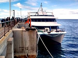 Archivo:Catamaran madryn