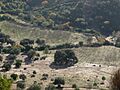 ChaparroDeLaVega-P1050928