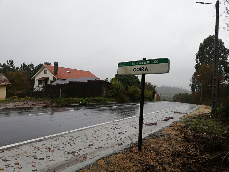 Coira, Biduído, Ames