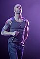 Daughtry Performs in Florida (8498371534)