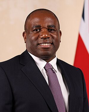 David Lammy official portrait.jpg