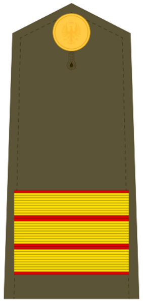 Ejerespadivi08