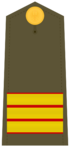 Ejerespadivi08.svg