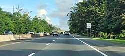 Expreso PR-30, Juncos, Puerto Rico.jpg