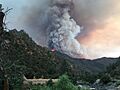 Ferguson Fire July 14
