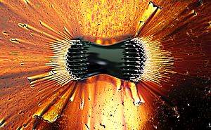 Archivo:Ferrofluid poles