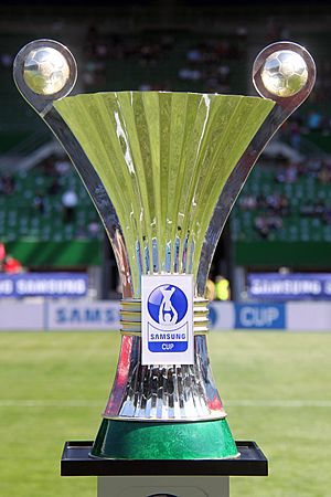 Final of the 2011–12 Austrian Cup (126).jpg