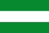 Flag of San Juanito (Meta).svg