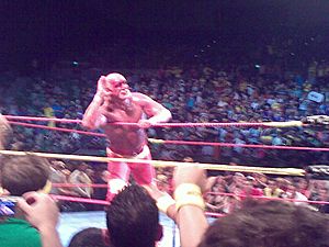 Archivo:Hogan playing the crowd