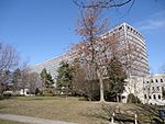 ILO Geneva