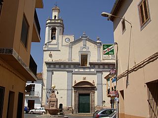 IgParroq QuartValls.JPG