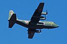JASDF C-130 20090111(Narashino).jpg