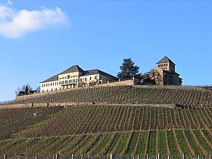 Archivo:Johannisberg Rheingau