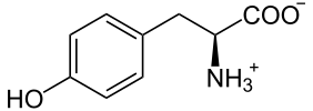 L-Tyrosin phys