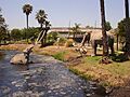 LaBreaTarPits01