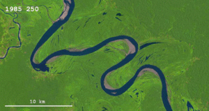 Archivo:Meandering on Ucayali River