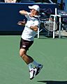 Nikolay Davydenko at the 2008 US Open2