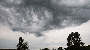 Archivo:Nubes tormenta