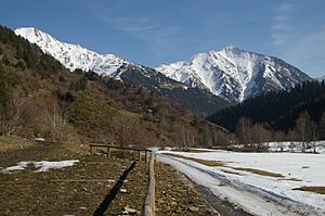 Archivo:Parc natural de l'alt pirineu