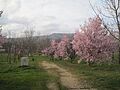 Parque La Manguilla
