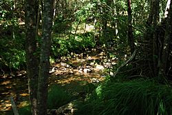 Parque Natural O Invernadeiro by Dorfun 11.jpg