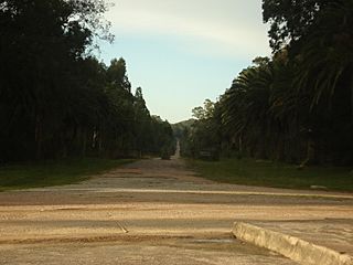 Parque Santa Tereza01.jpg