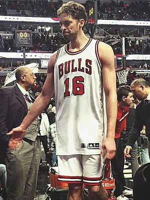 Archivo:Paul Gasol high five with Stryde at the end of the Chicago Bulls game (cropped)