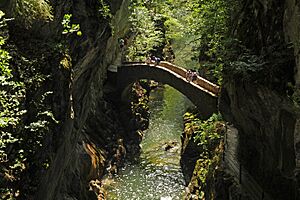 Archivo:Pont du Saut de Brot 01 10