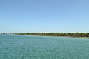 Archivo:Río San Pedro