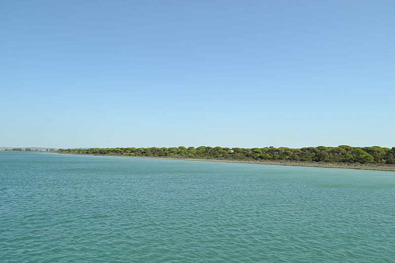 Río San Pedro