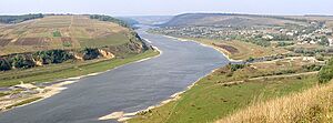 Archivo:Ua river seret mouth