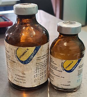 Archivo:Vitamina K 20220202 122653