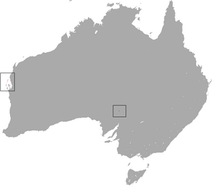 Archivo:Western Barred Bandicoot area