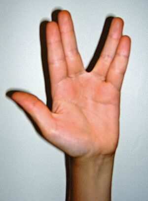 Archivo:Wicki Hand001 edited