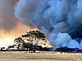 2019-20 Australian Bushfires - Kangaroo Island, South Australia (51368508483)