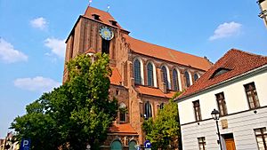 Archivo:Bazylika katedralna w Toruniu