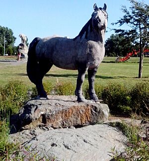 Archivo:Caballo sudamericano (Parque chuyaca - Osorno)