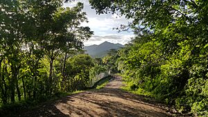 Archivo:Camino Rural