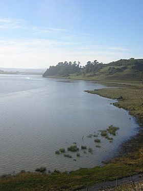 Carahue 0.jpg