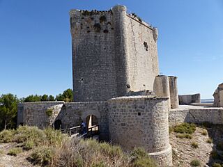 Castillo de Íscar, Valladolid, España, 2017 05.jpg