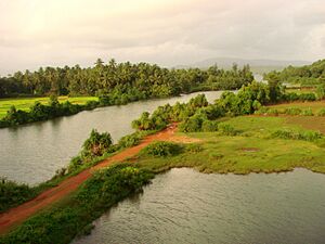 Archivo:Countryside South of Goa - India