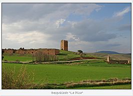 Despoblado de la Pica.(Soria) (4557294825).jpg