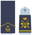 Ejerairedivies28