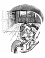 Ernst Mach Innenperspektive