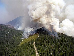 Archivo:GNP Wildfires 2003