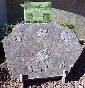 Archivo:Glen Canyon National Recreation Area, U.S (5)
