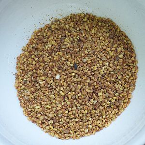 Archivo:Grains de fagopyrum tataricum